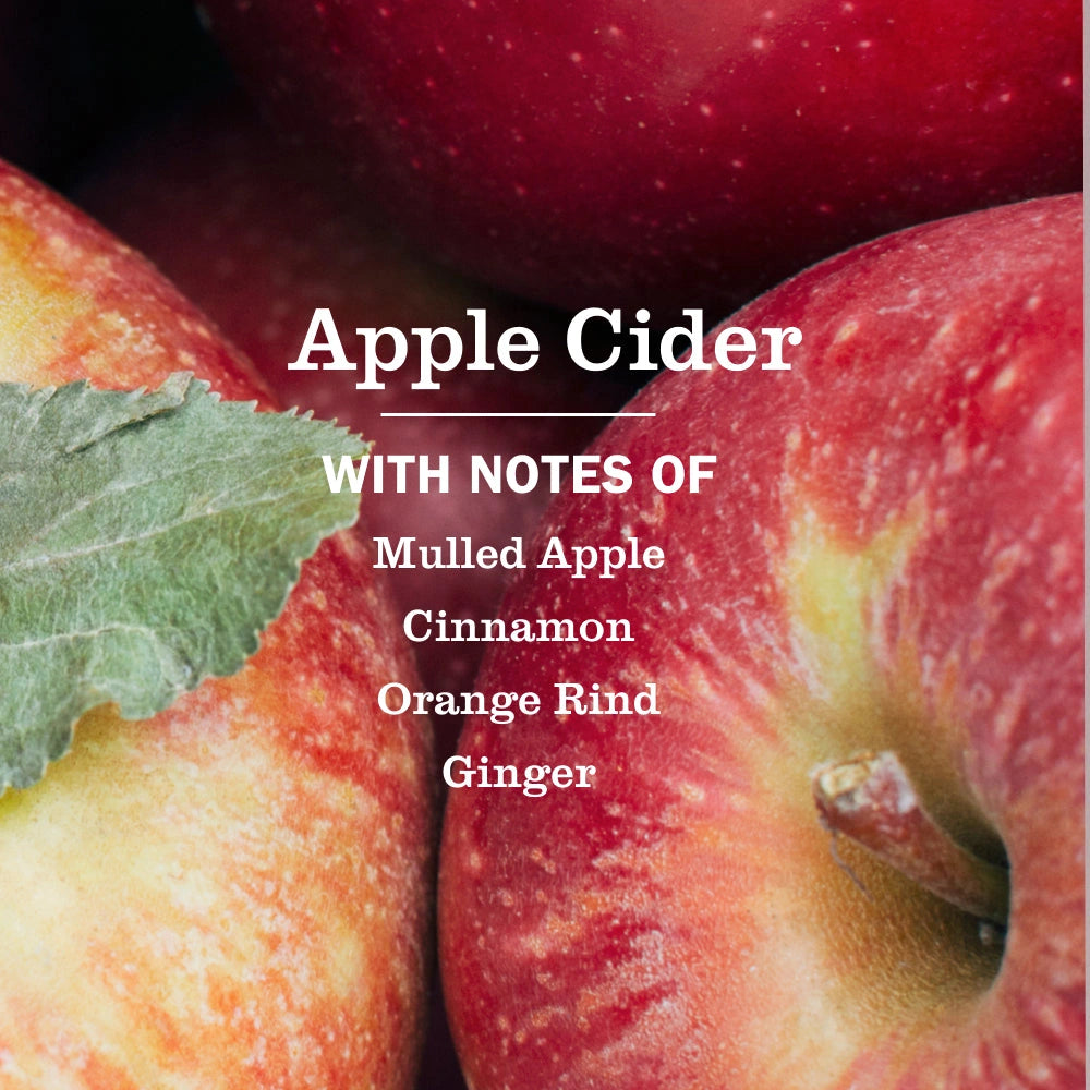 Liquid Hand Soap - Apple Cider