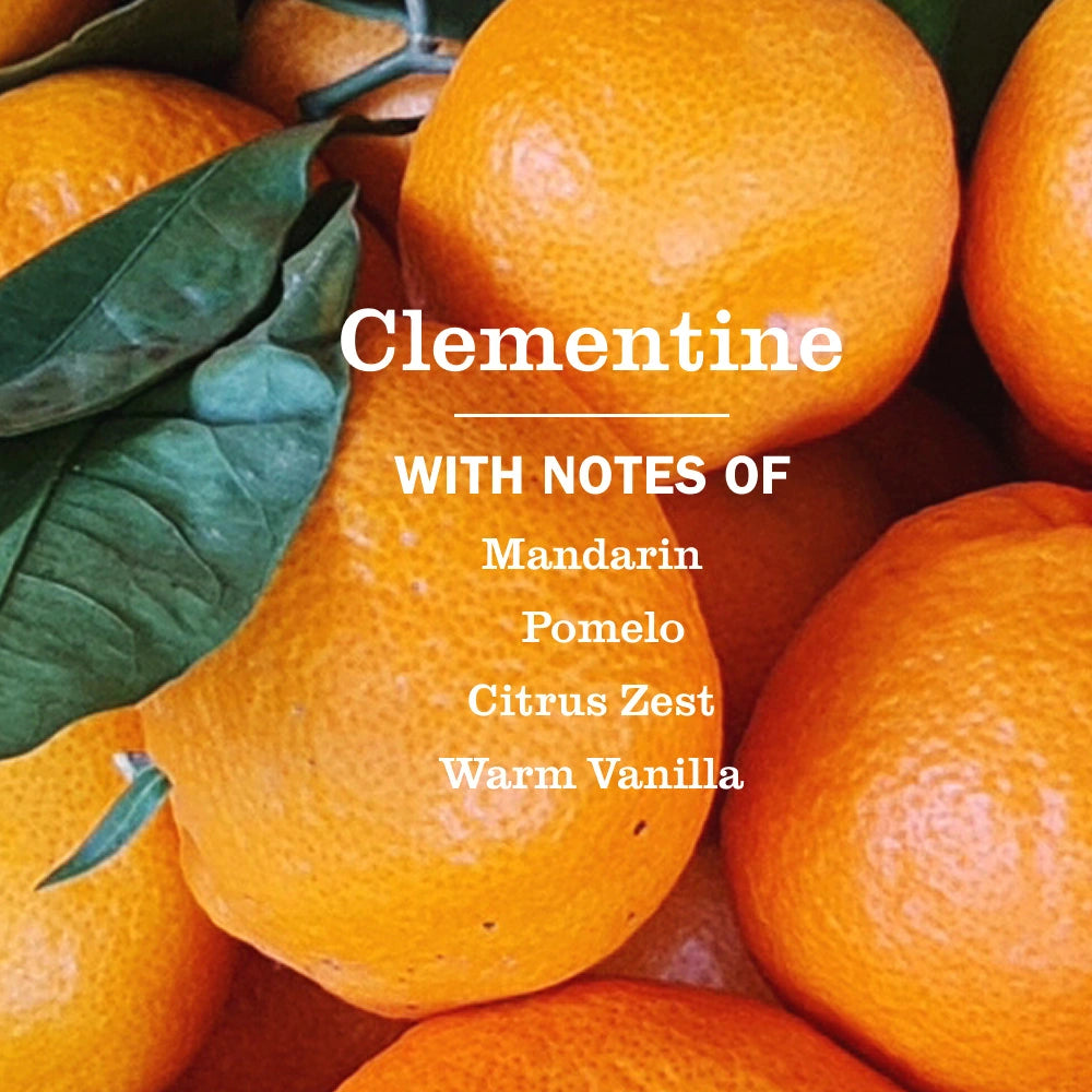Multi-Surface Cleaner Spray - Clementine