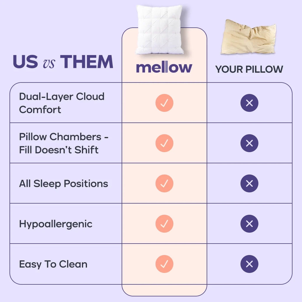Comforter and 2 Pillow Set