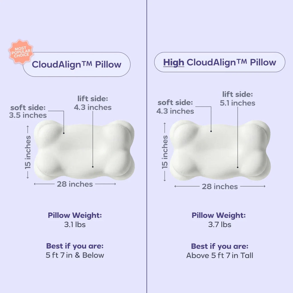 Comforter and 2 Pillow Set