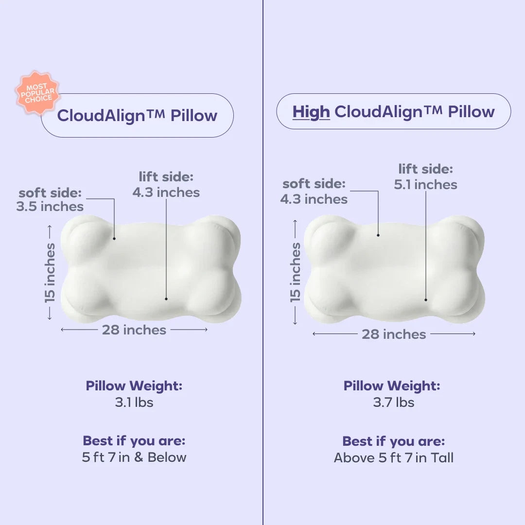Comforter and 2 Pillow Set