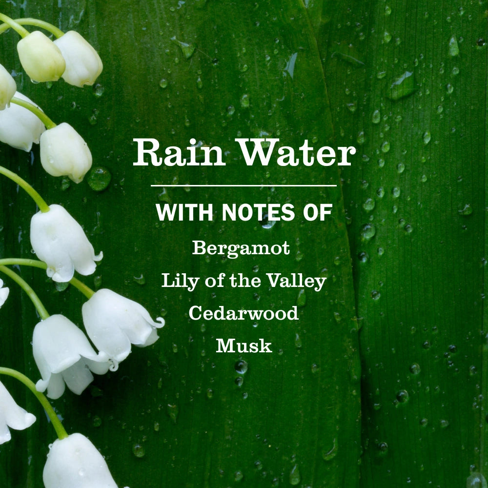Multi-Surface Cleaner Spray - Rain Water