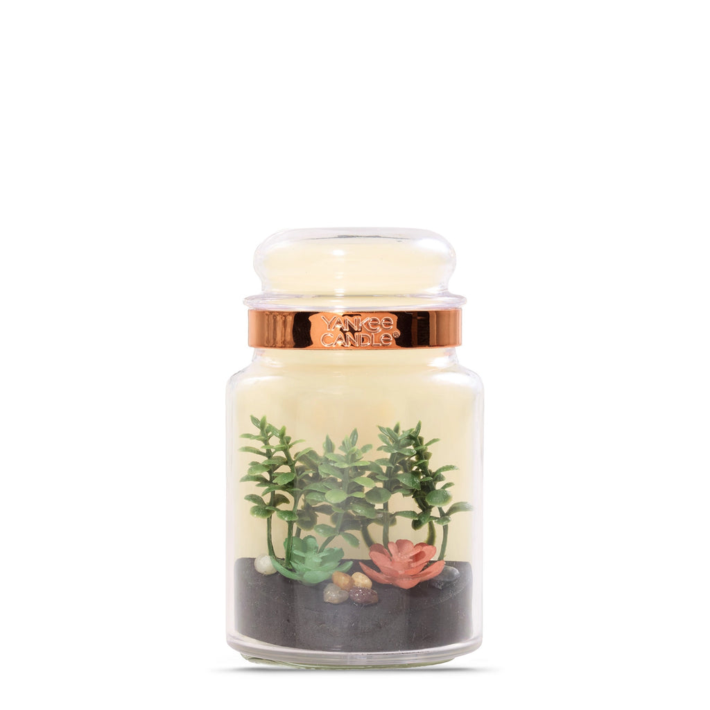 Glass Terrarium Plug-In Diffuser
