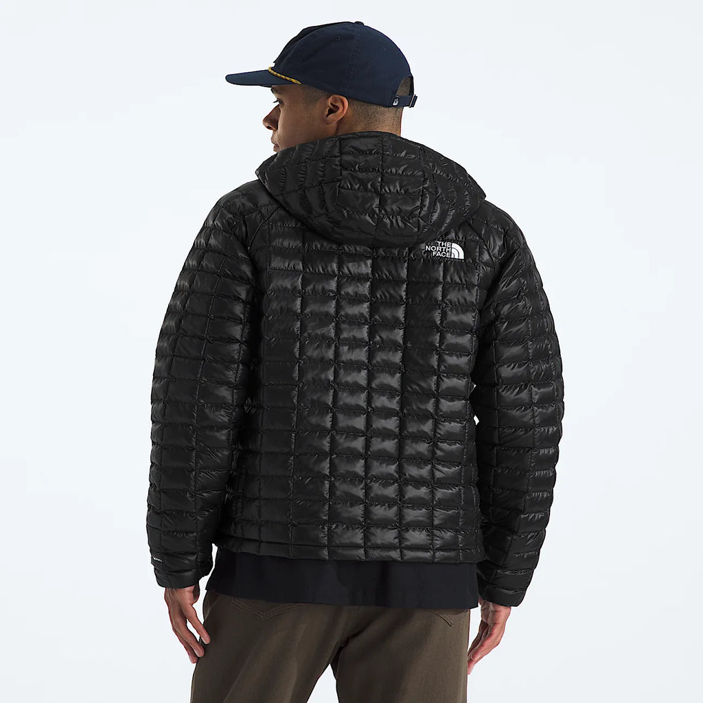 Men's Hooded Insulated Jacket - Black
