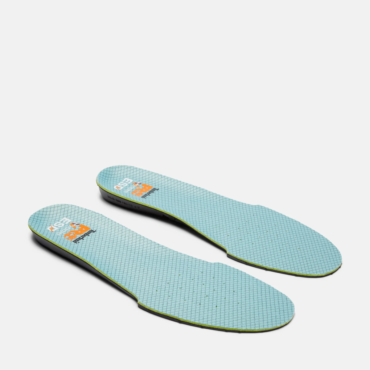ESD Cushioned Shoe Insert
