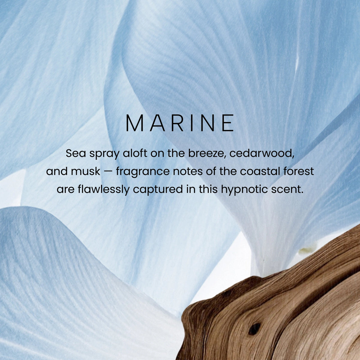 Marine Reed Diffuser