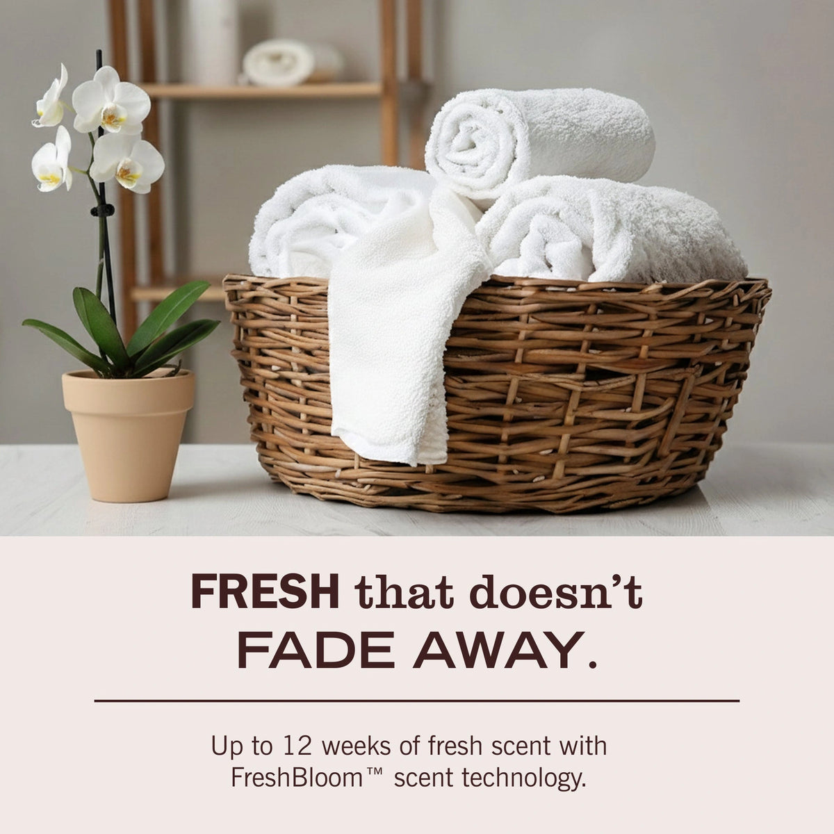 Laundry Scent Booster - Rain Water