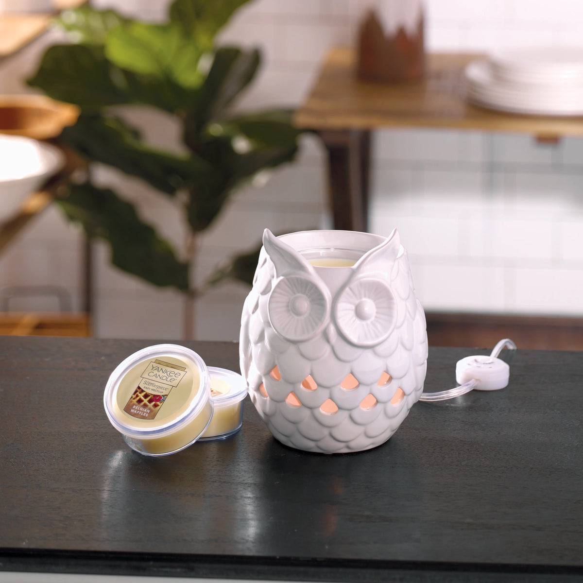 Owl Wax Melt Warmer