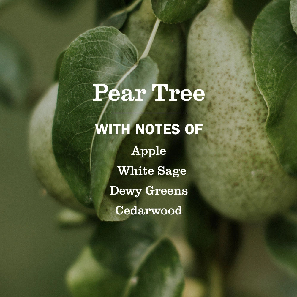 Liquid Hand Soap - Pear Tree