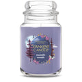 Original Jar Candle - Moonlit Woods