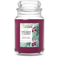 Large Fresh Berry Jar Candle