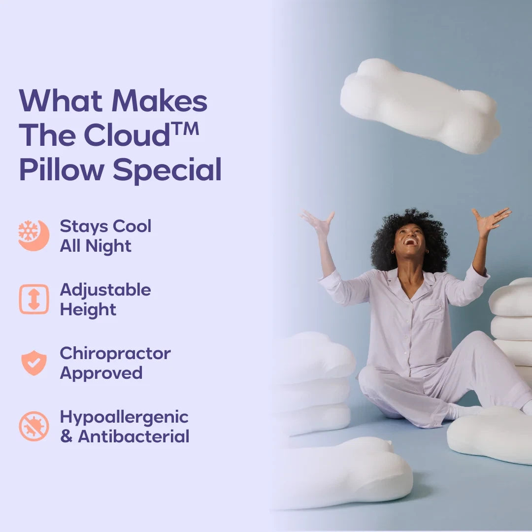 Comforter and 2 Pillow Set