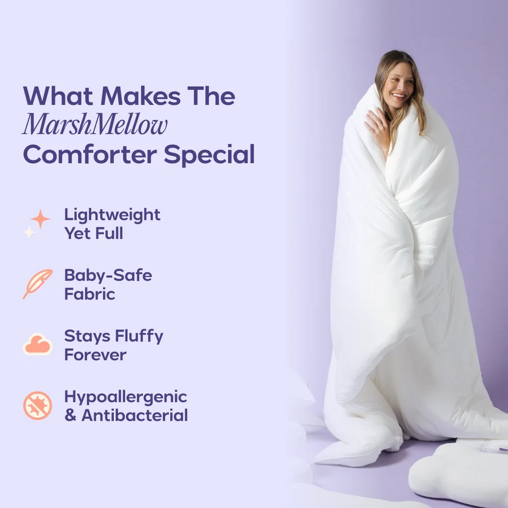 Comforter and 2 Pillow Set