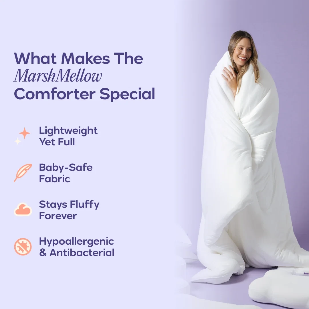 Comforter and 2 Pillow Set