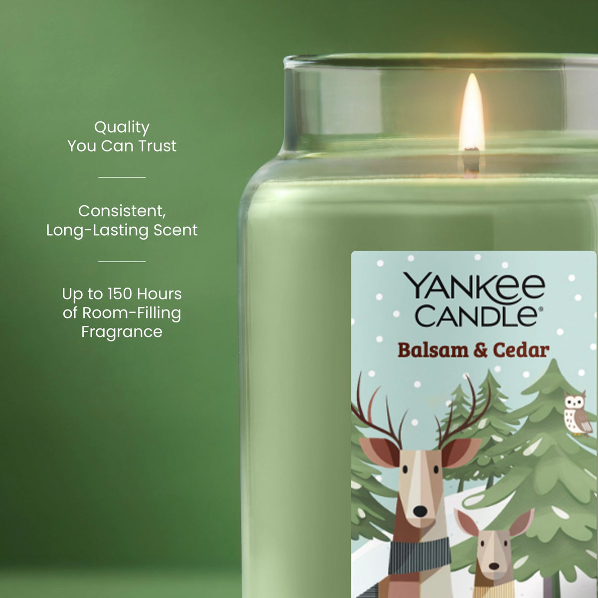 Large Jar Candle - Balsam & Cedar