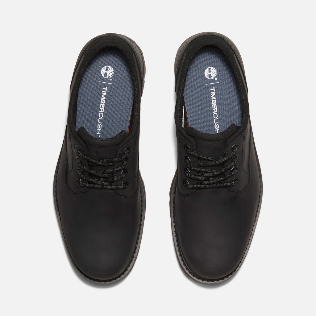 Men's Lace-Up Waterproof Shoe