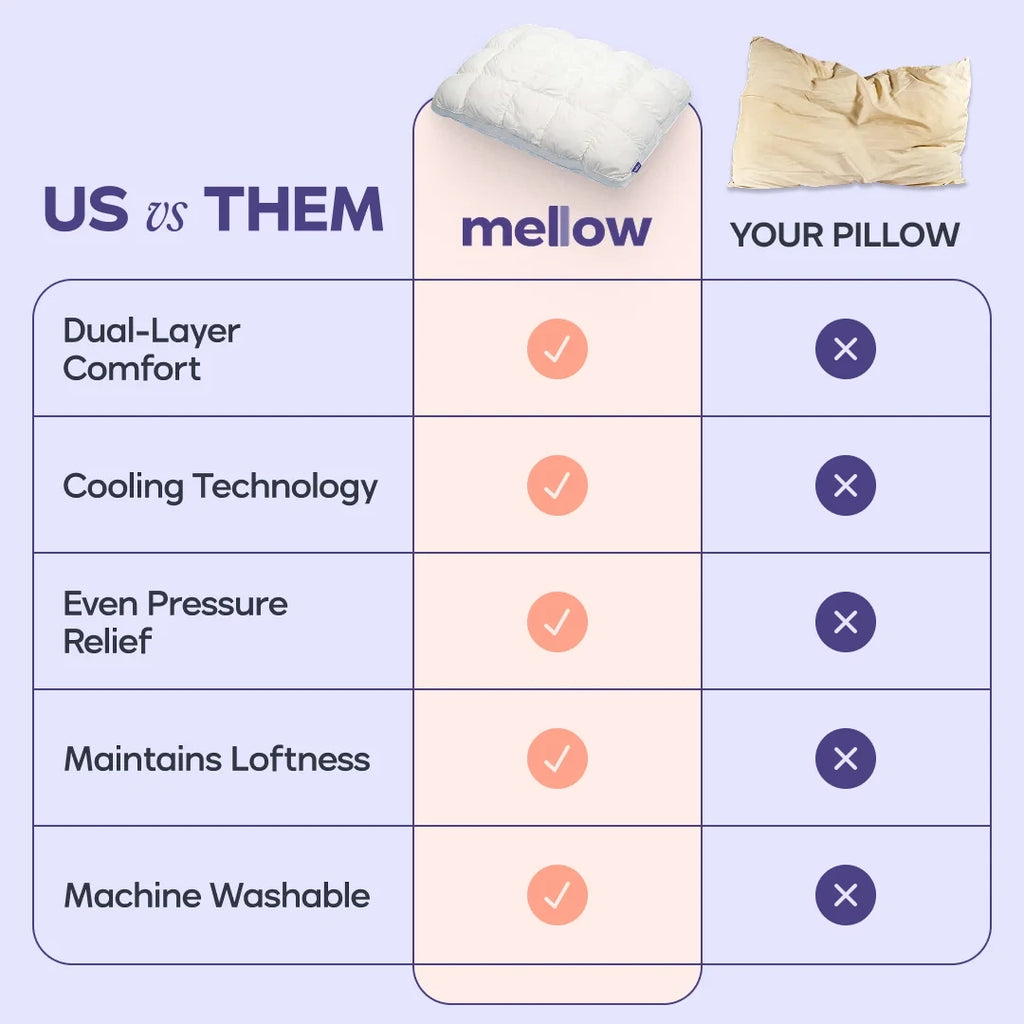 Comforter and 2 Pillow Set