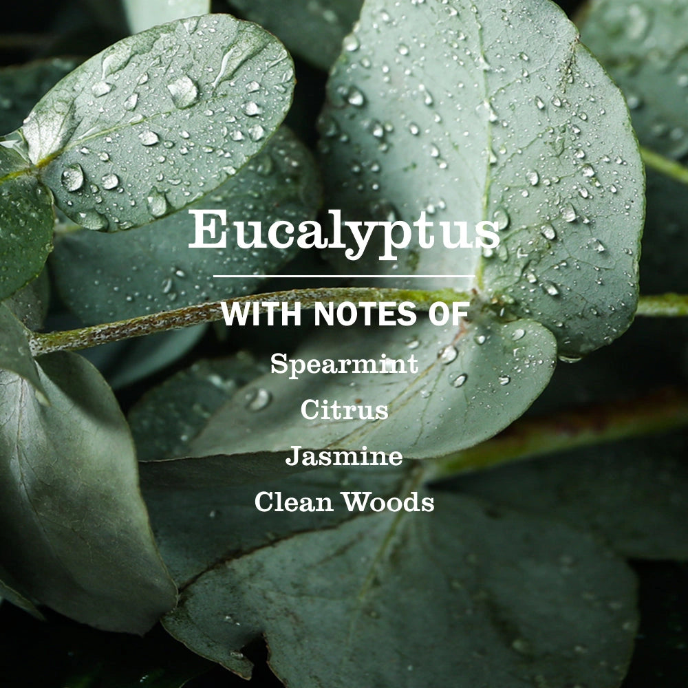 Liquid Hand Soap - Eucalyptus