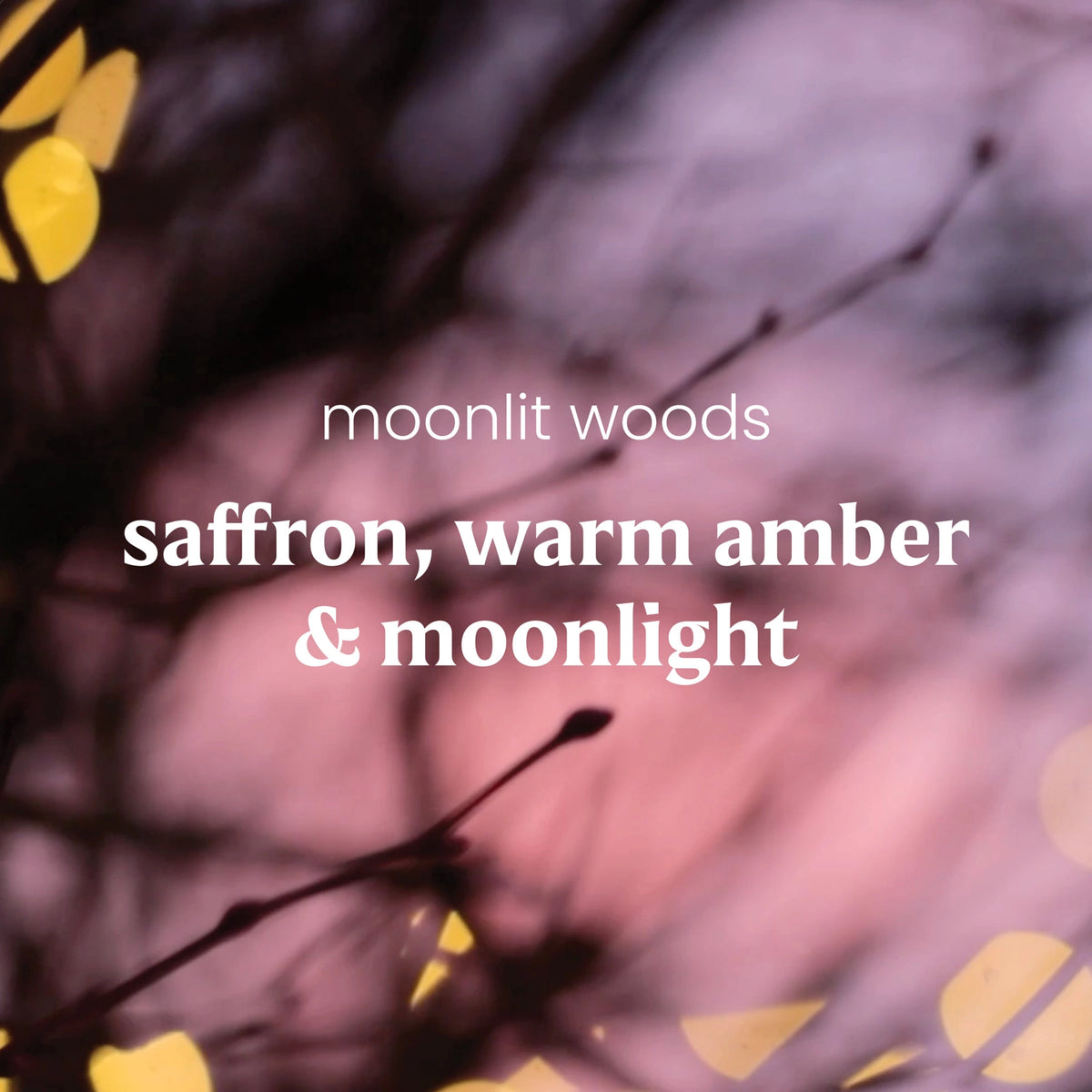 Original Jar Candle - Moonlit Woods