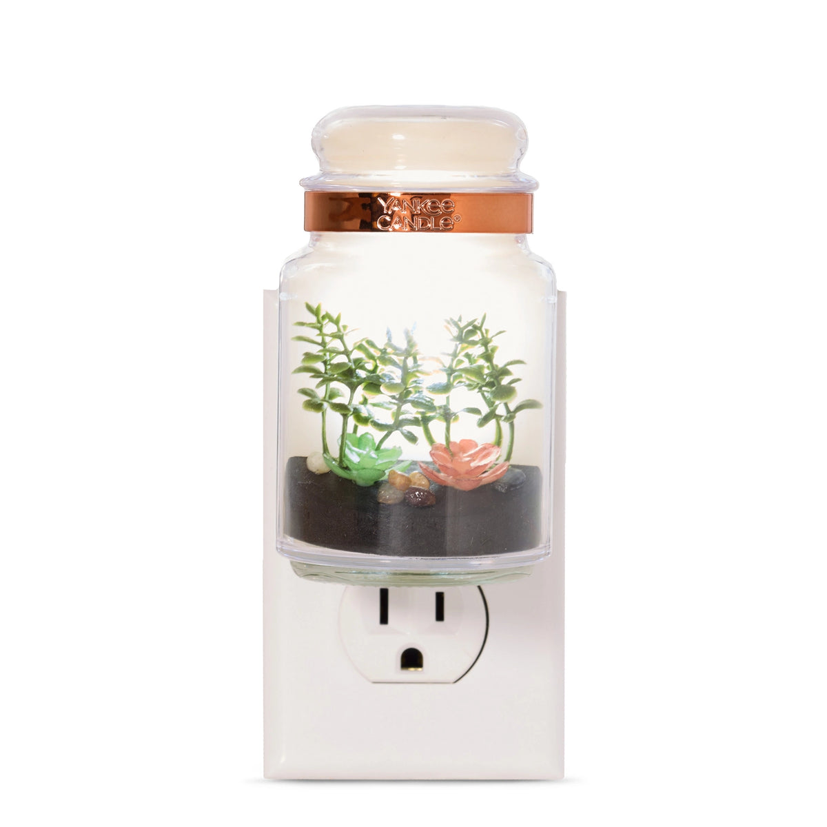 Glass Terrarium Plug-In Diffuser