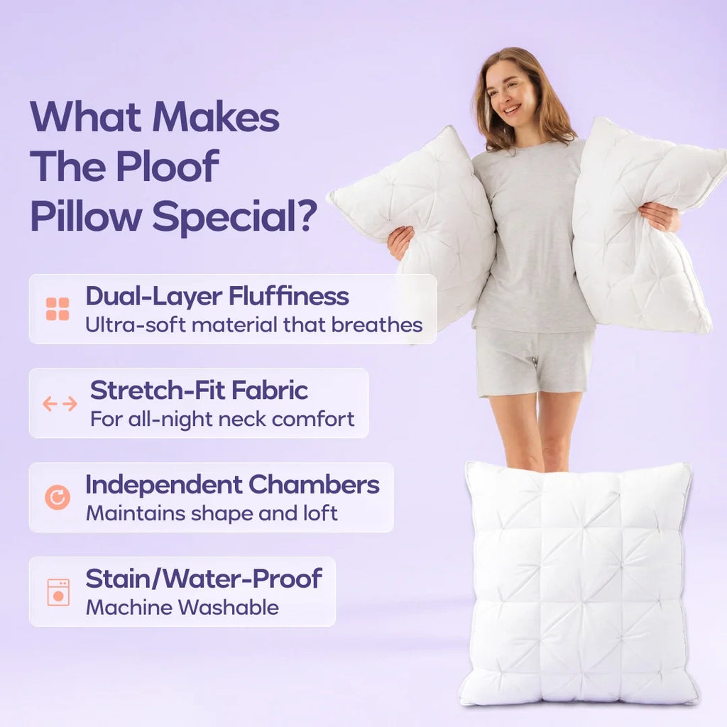 Comforter and 2 Pillow Set