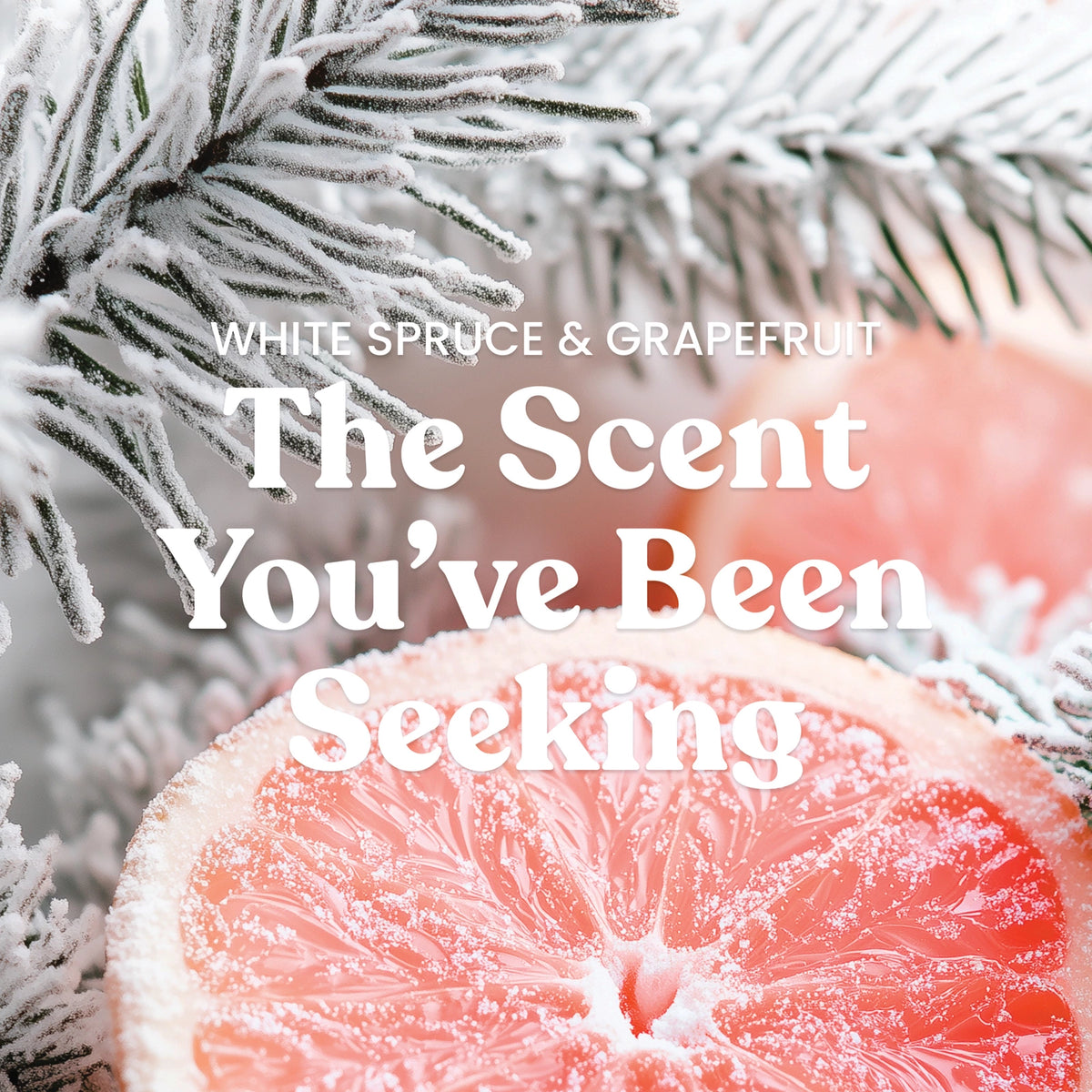 Large Tumbler Candle - Spruce Grapefruit