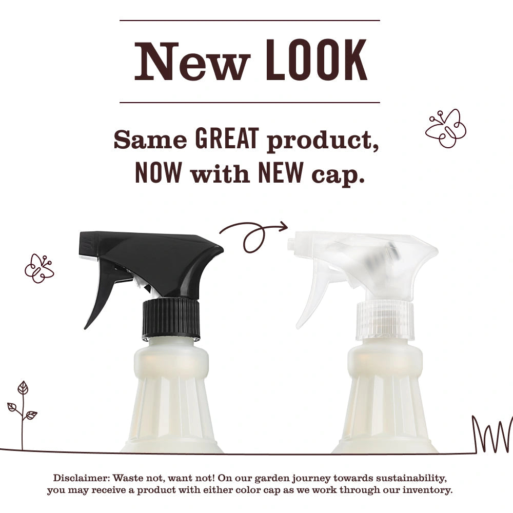 Multi-Surface Cleaner - Basil
