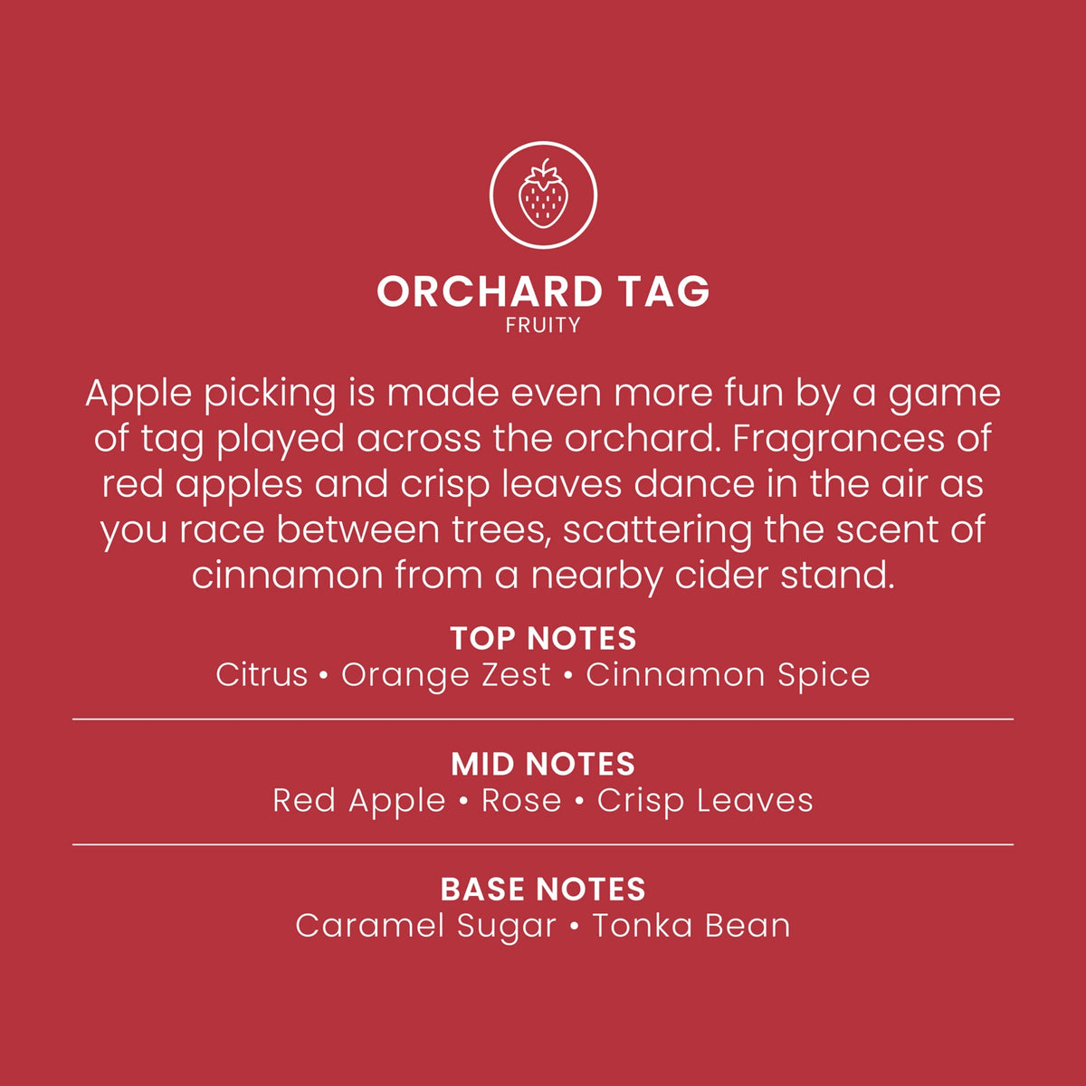 Large Tumbler Candle - Orchard Fruit