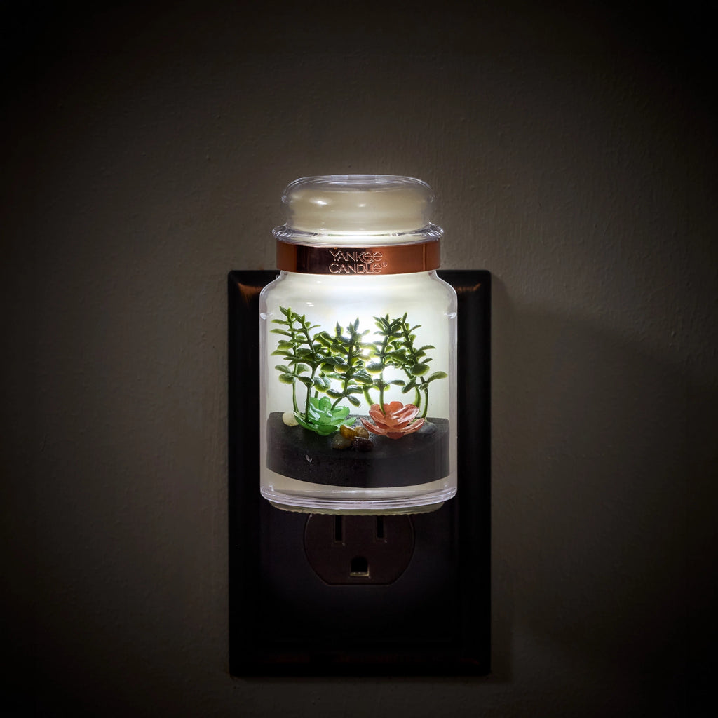 Glass Terrarium Plug-In Diffuser