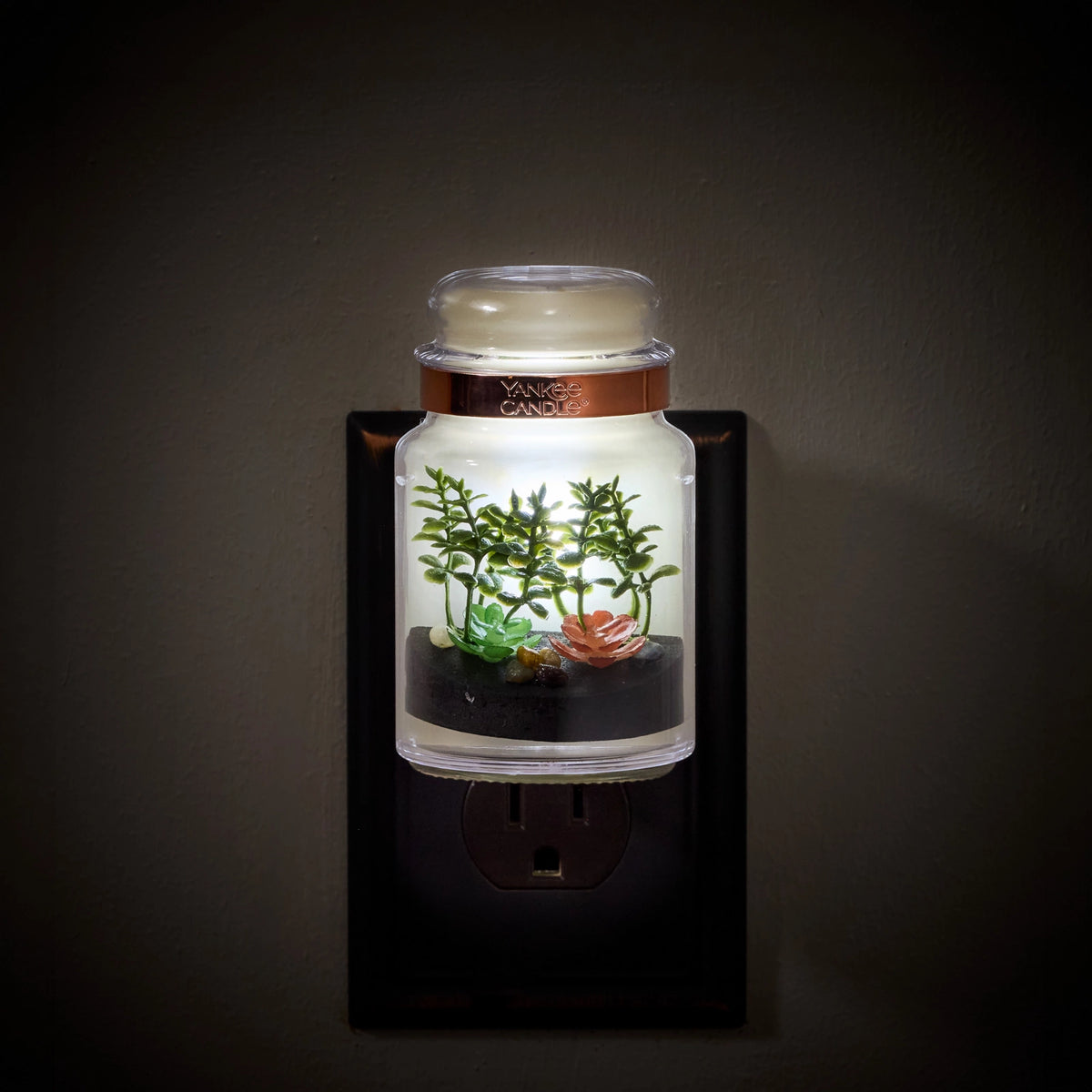 Glass Terrarium Plug-In Diffuser