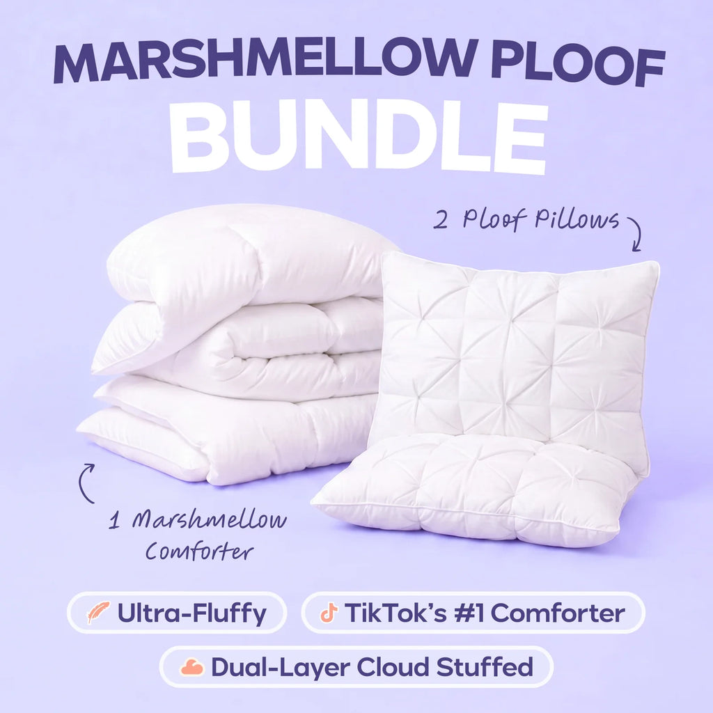 Comforter and 2 Pillow Set