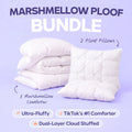 Comforter and 2 Pillow Set