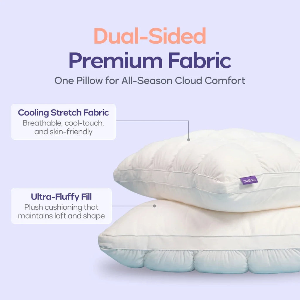 Comforter and 2 Pillow Set