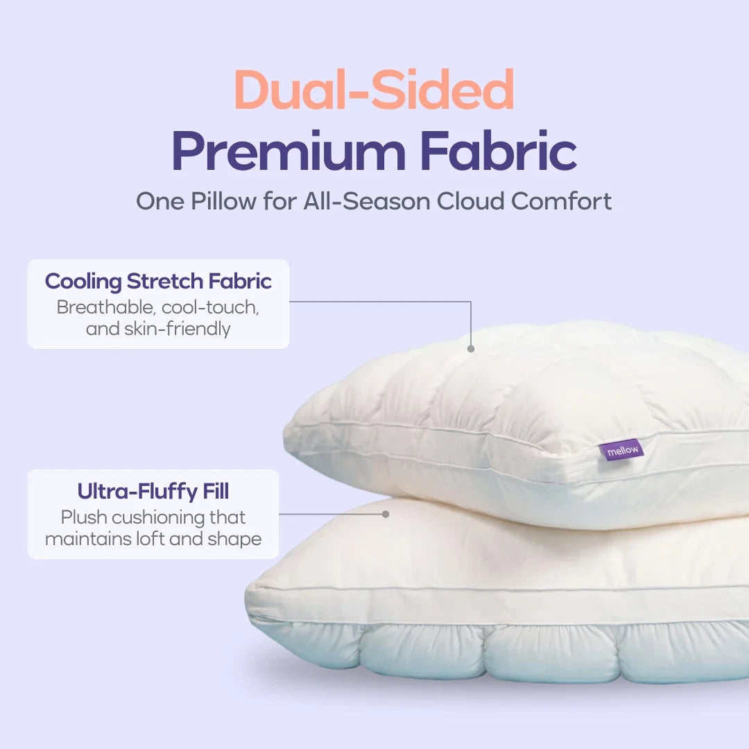 Comforter and 2 Pillow Set
