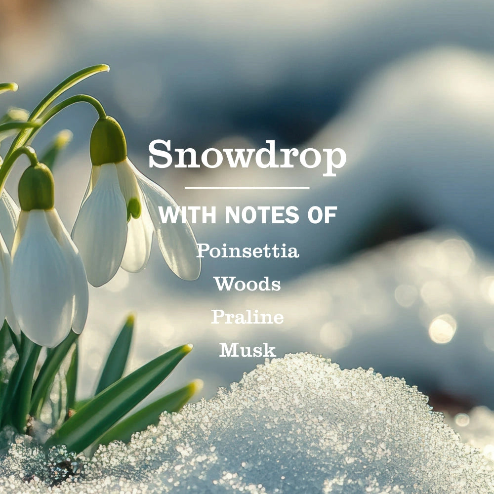 Liquid Hand Soap & Refill Set - Snowdrop