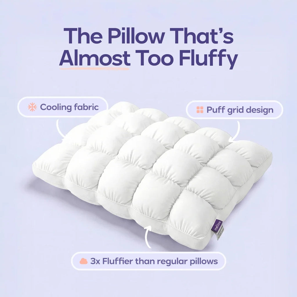 Comforter and 2 Pillow Set