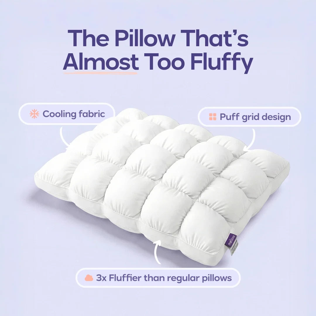 Comforter and 2 Pillow Set