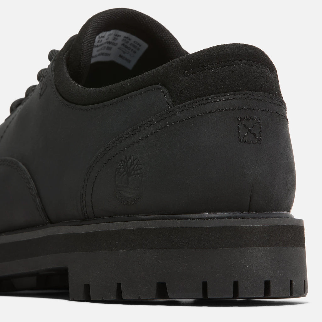 Men's Lace-Up Waterproof Shoe