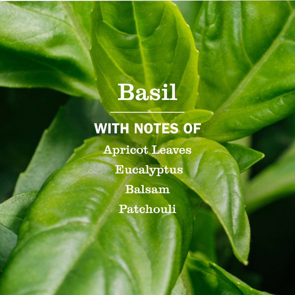 Liquid Hand Soap Refill - Basil