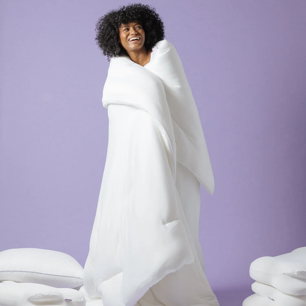 Comforter and 2 Pillow Set
